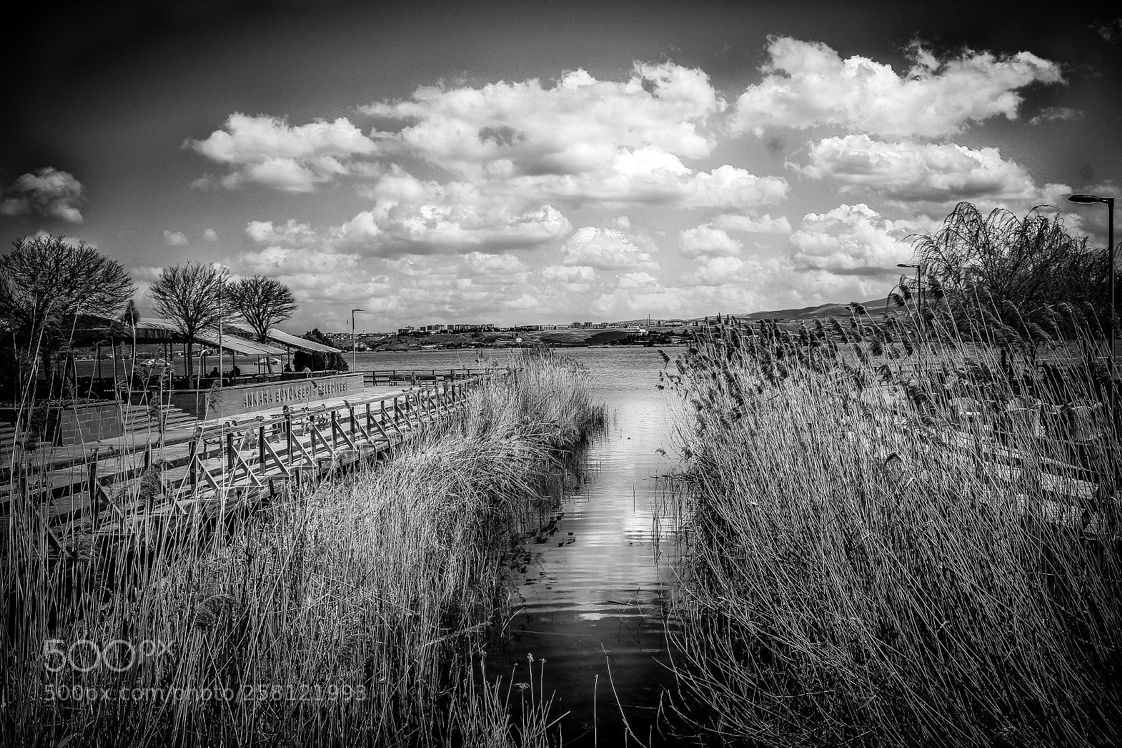 Canon EOS 550D (EOS Rebel T2i / EOS Kiss X4) sample photo. Golbasi lake b&w photography