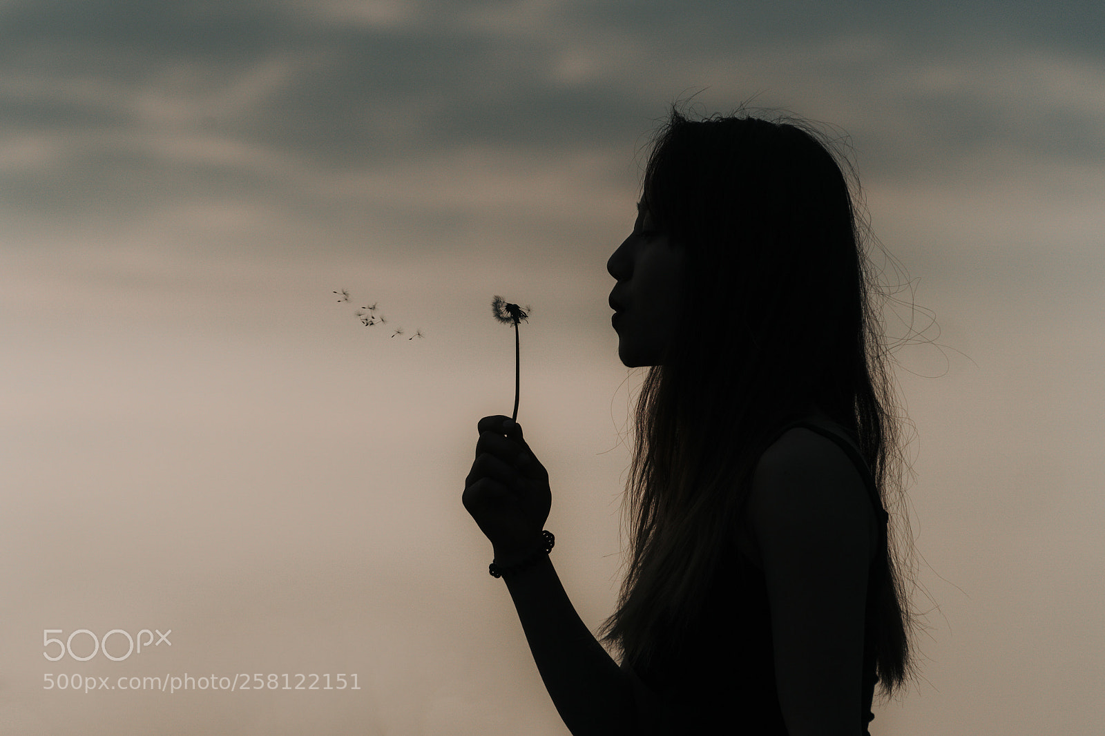 Sony a6300 sample photo. Blowing dandelion photography