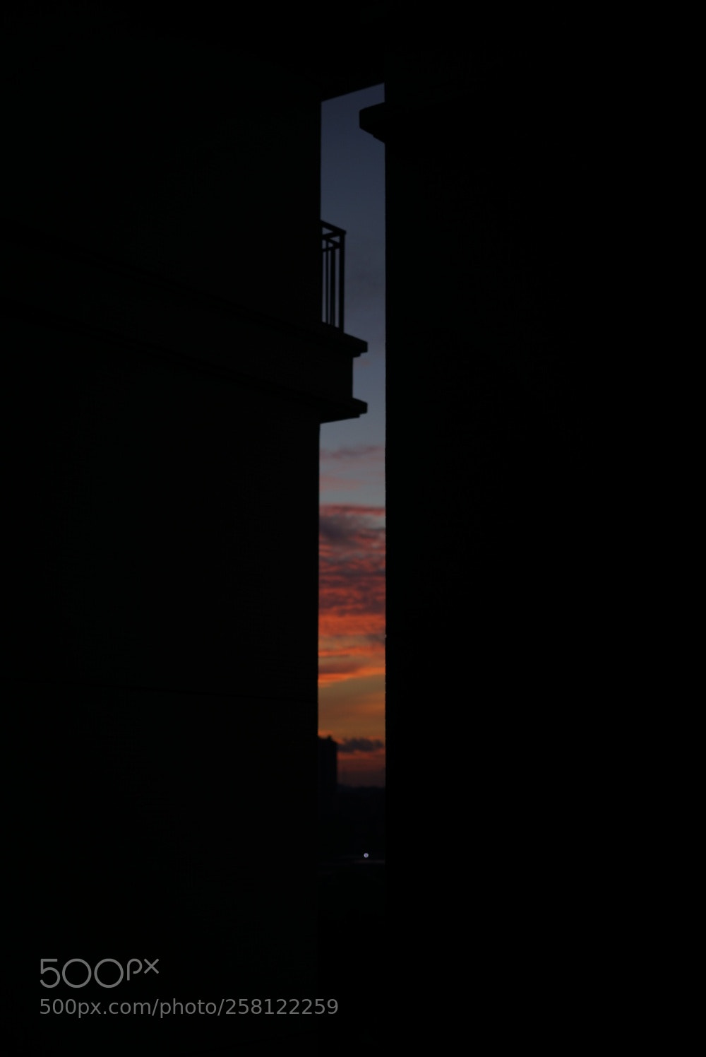 Sony a7 sample photo. Untitled photography