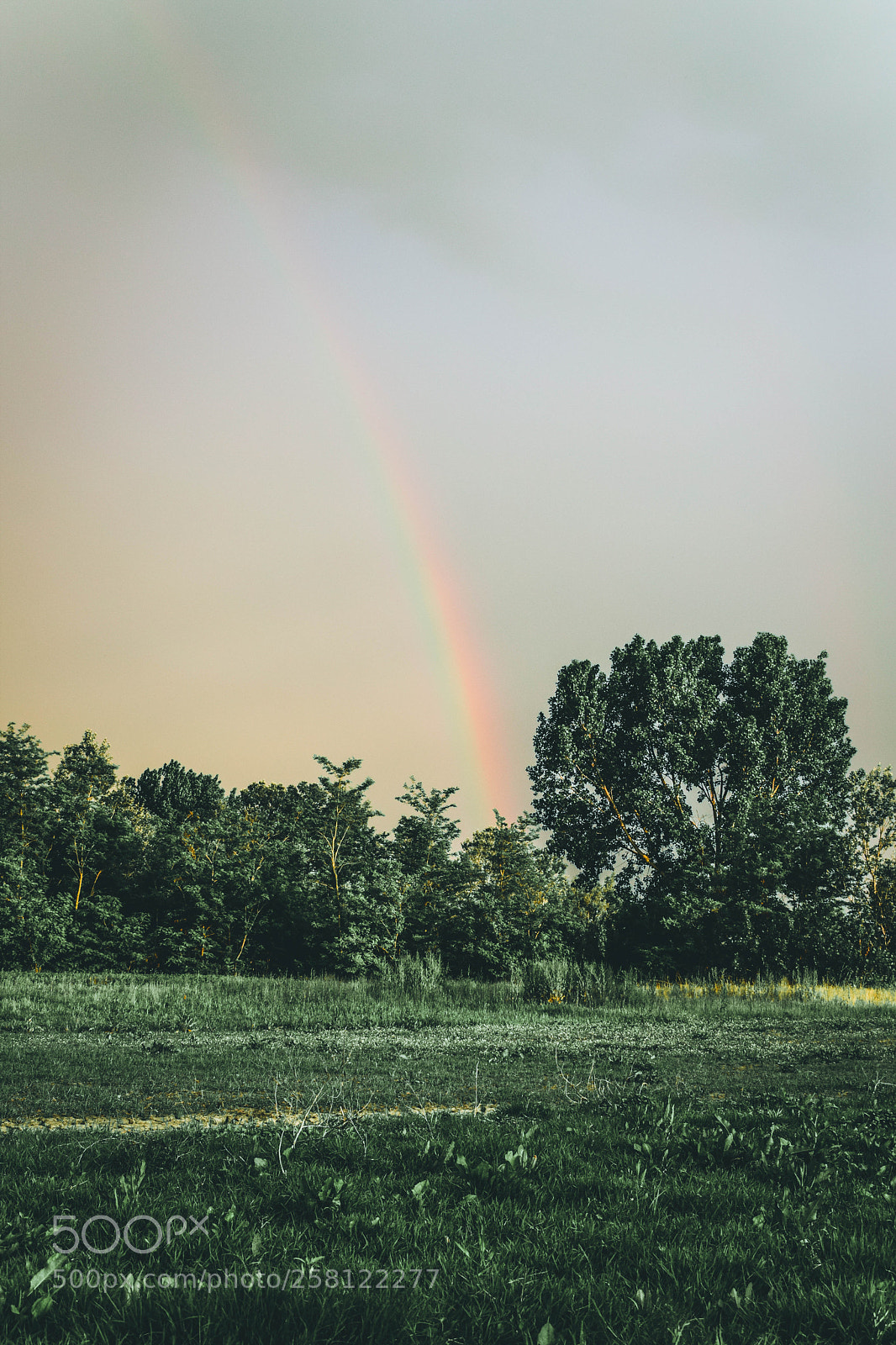 Nikon D3300 sample photo. Untitled photography