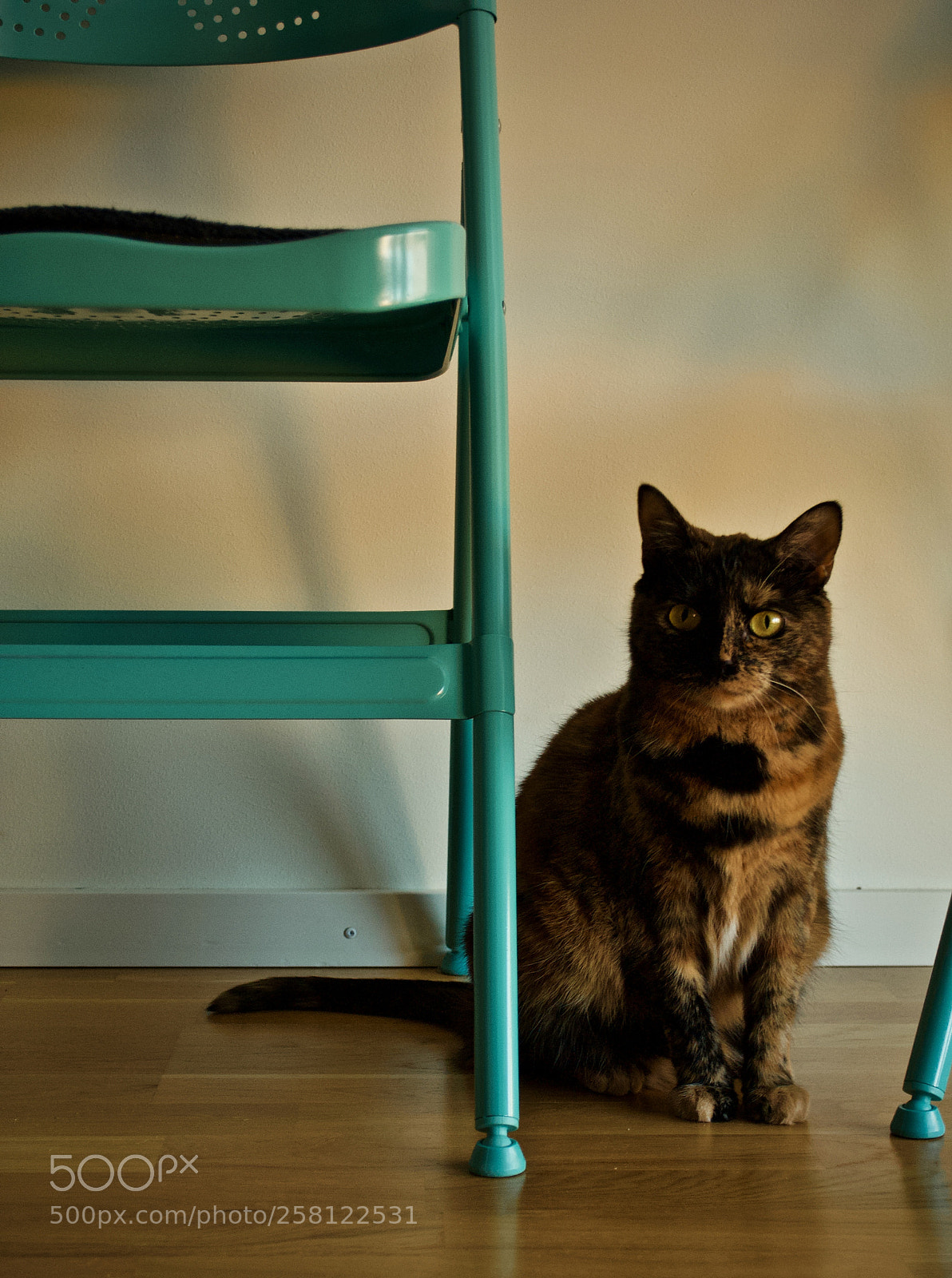 Nikon D90 sample photo. Take a second and photography