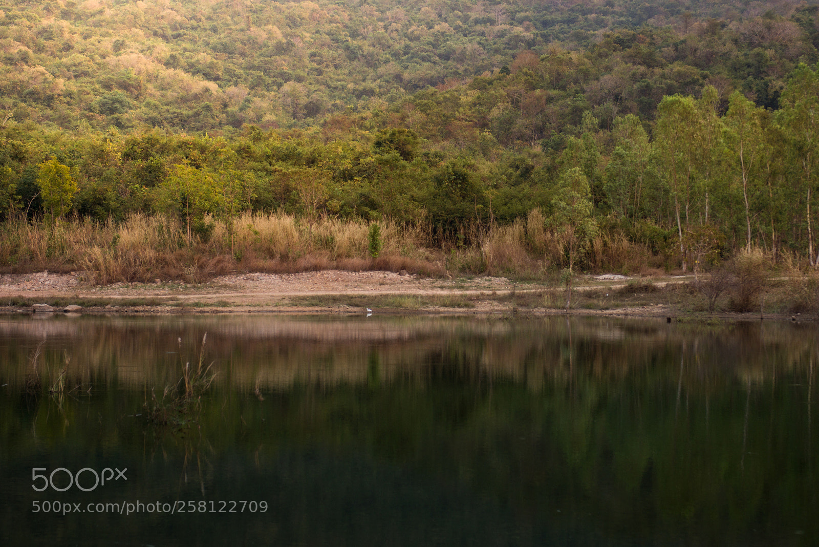 Nikon D610 sample photo. Reflect mountain photography