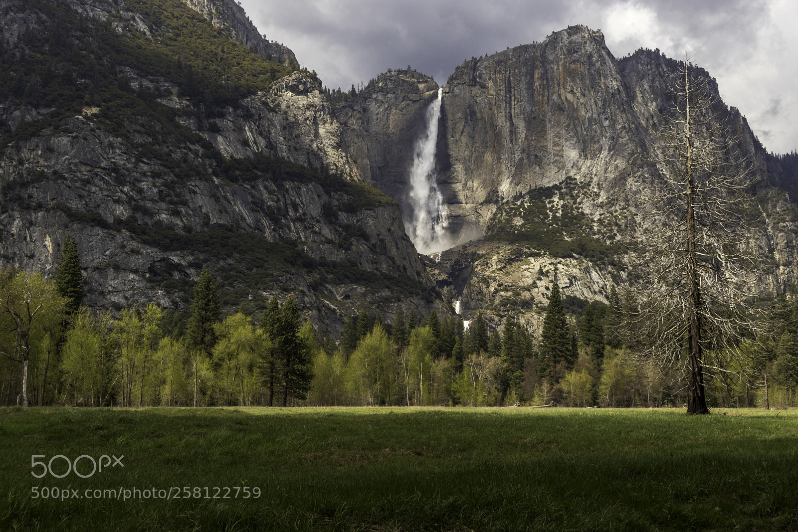 Canon EOS 80D sample photo. Yosemite falls photography