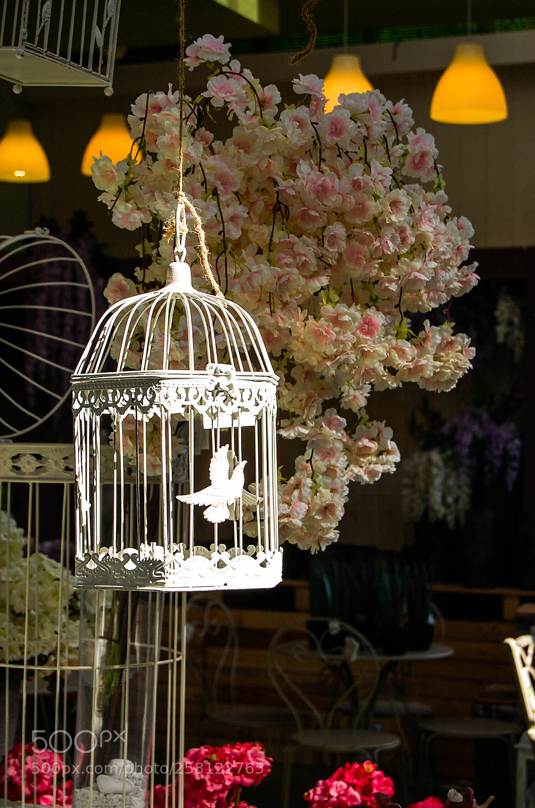 Nikon D40 sample photo. Lighted photography