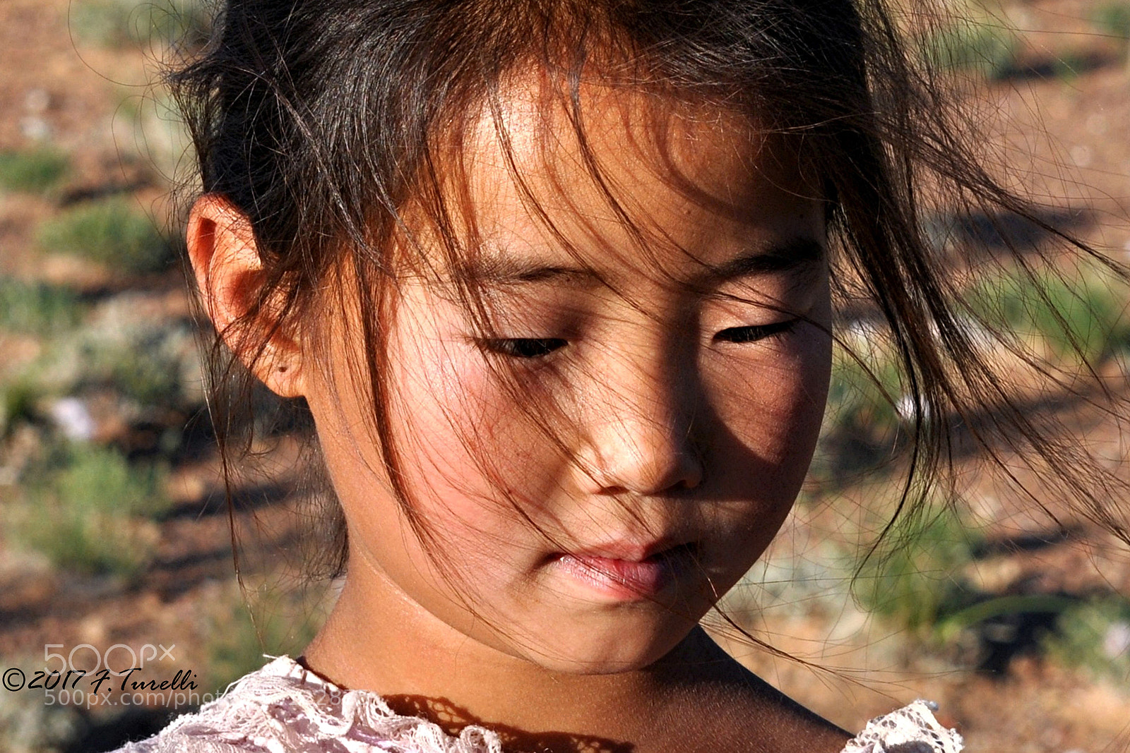 Nikon D5000 sample photo. Timidity-all sons of genghis photography