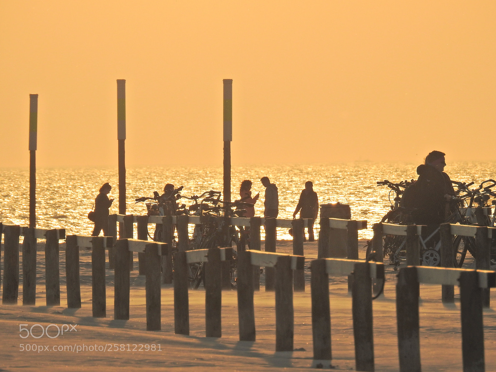 Nikon Coolpix P900 sample photo. Beach hustle spo photography
