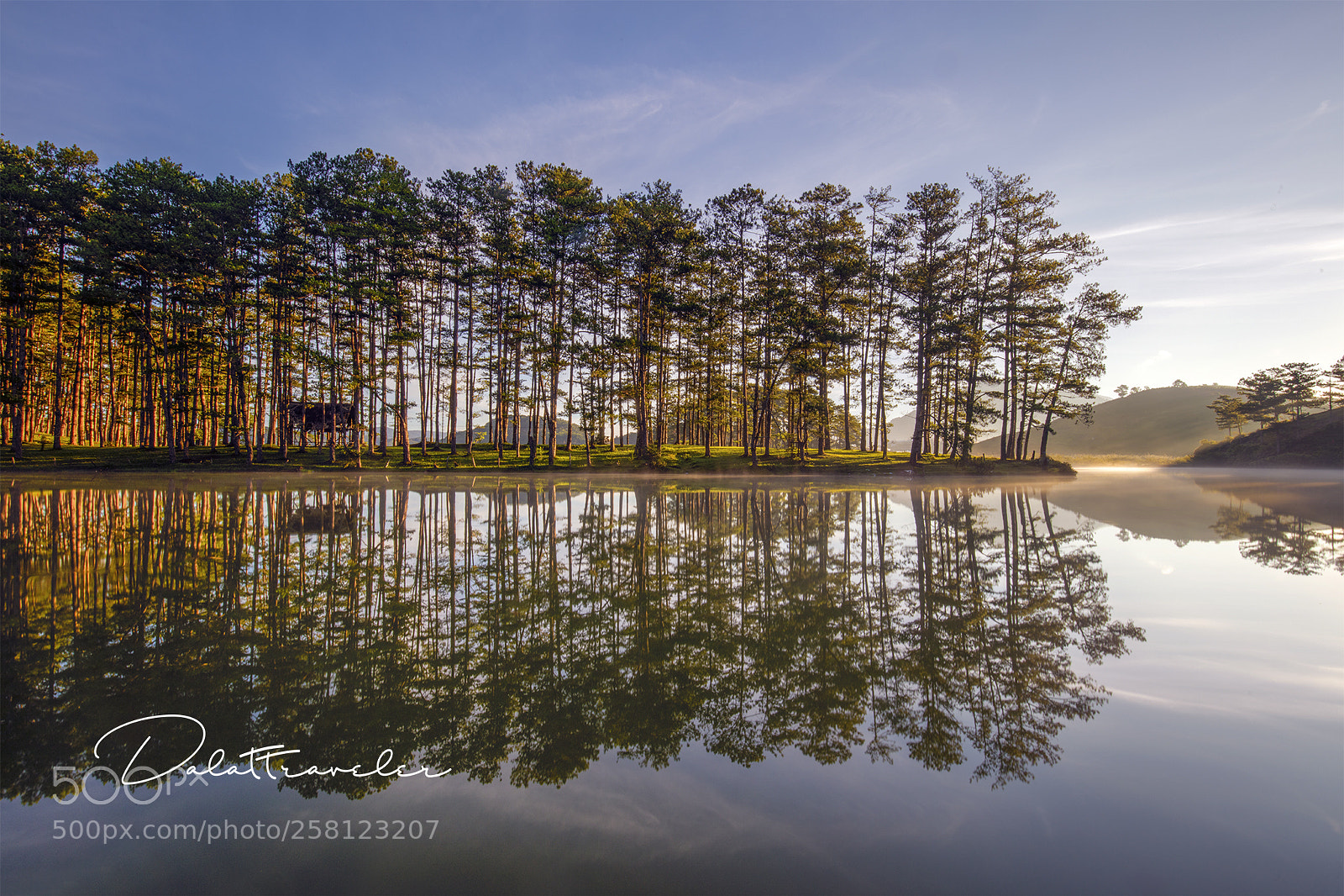 Canon EOS 5DS R sample photo. Forest in sunlight photography