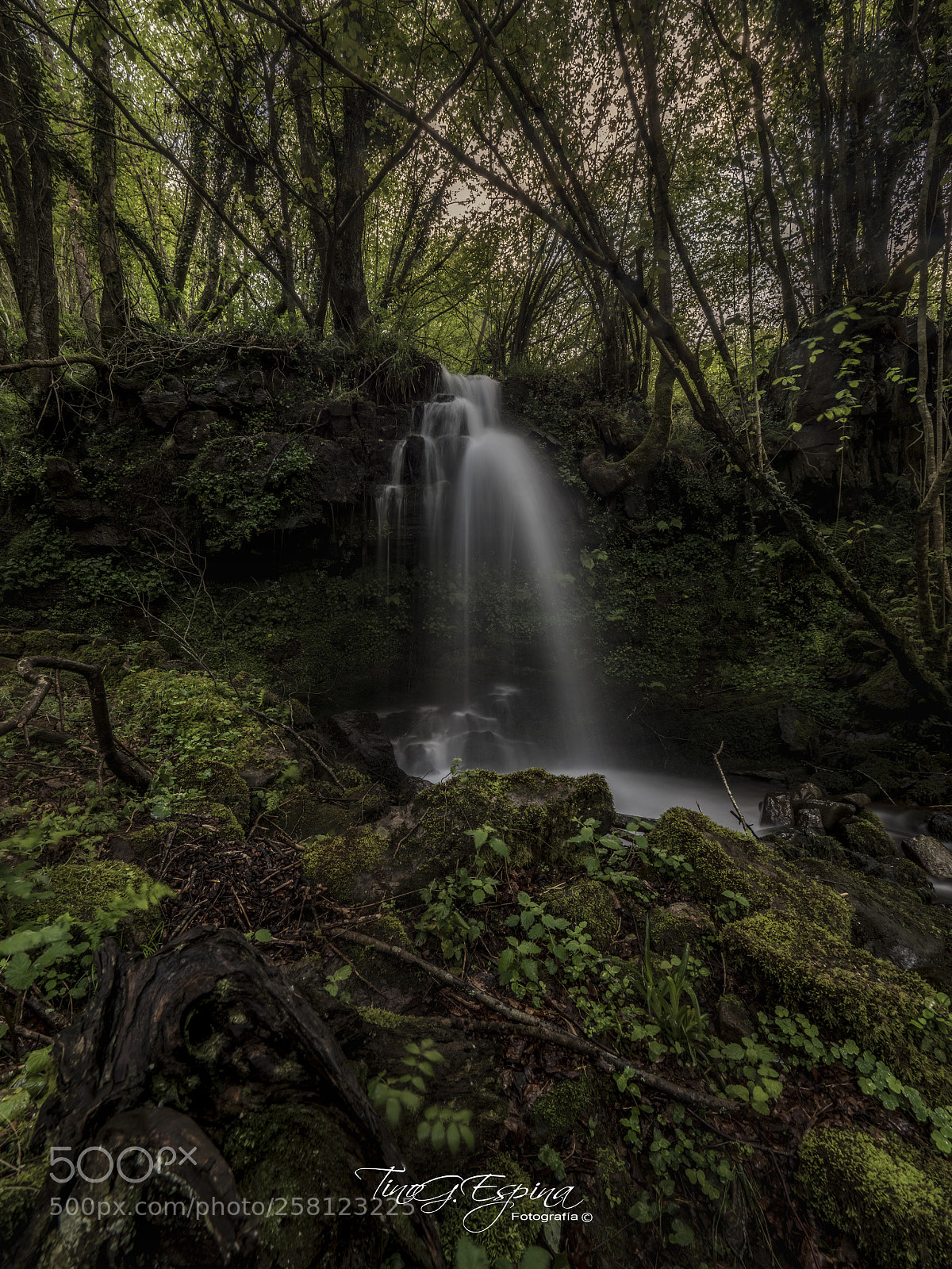 Olympus OM-D E-M1 Mark II sample photo. Rio pas photography