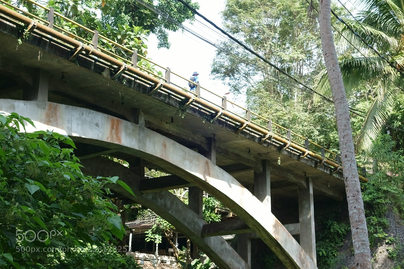 Sony Cyber-shot DSC-RX100 II sample photo. A bridge in ubud photography