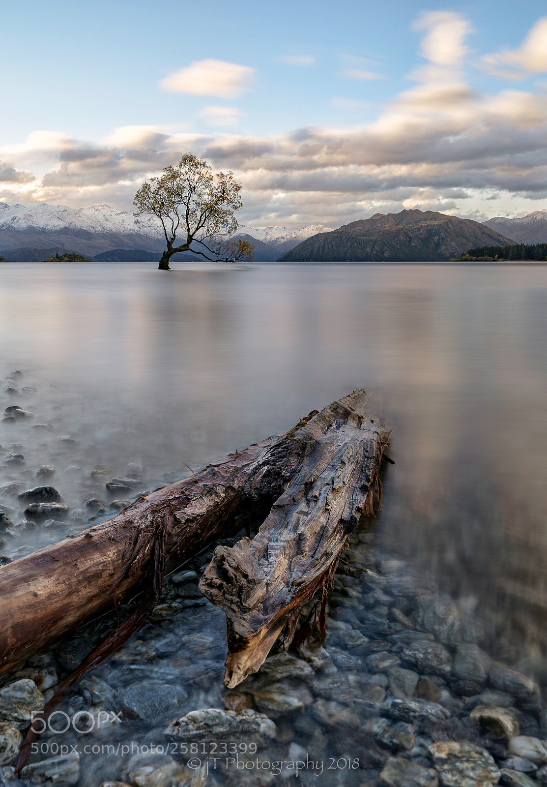 Sony a9 sample photo. Dead wood vs iconic photography