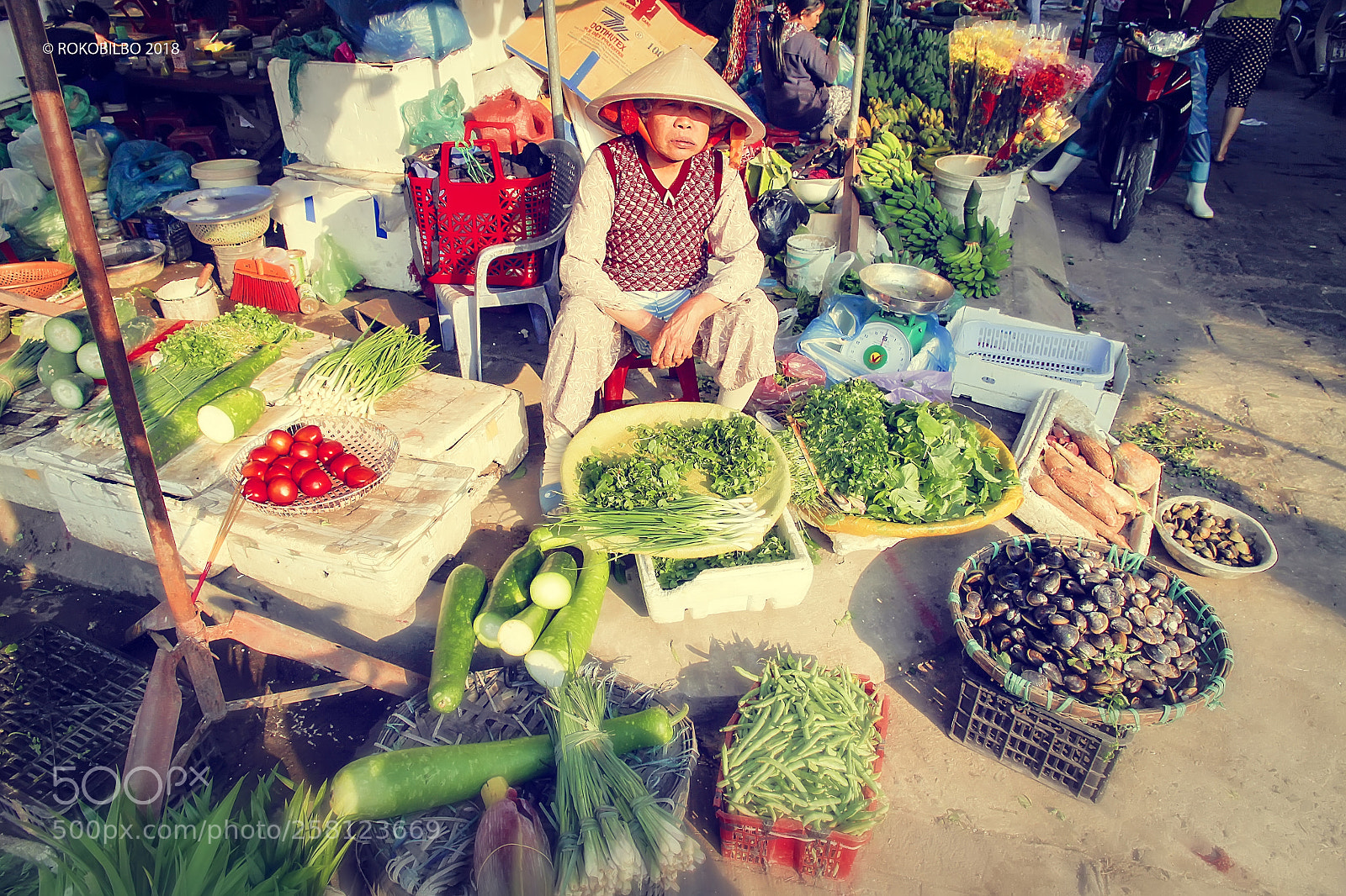 Canon EOS 50D sample photo. Hoi an market 4 photography