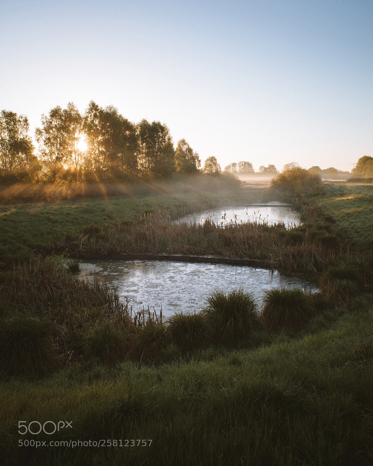 Canon EOS 5D Mark II sample photo. Hazy mornings. photography