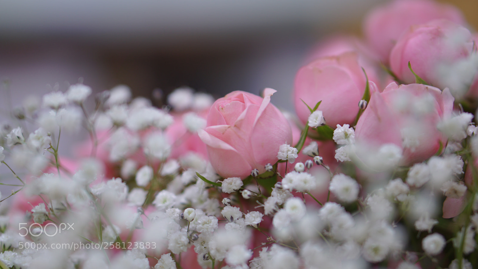 Sony a6000 sample photo. You. photography