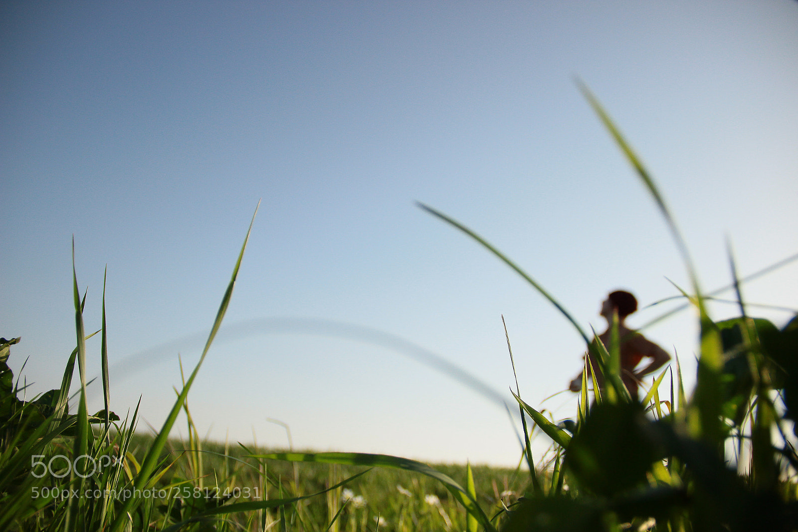 Canon EOS 600D (Rebel EOS T3i / EOS Kiss X5) sample photo. Le farfadet, amoureux du photography