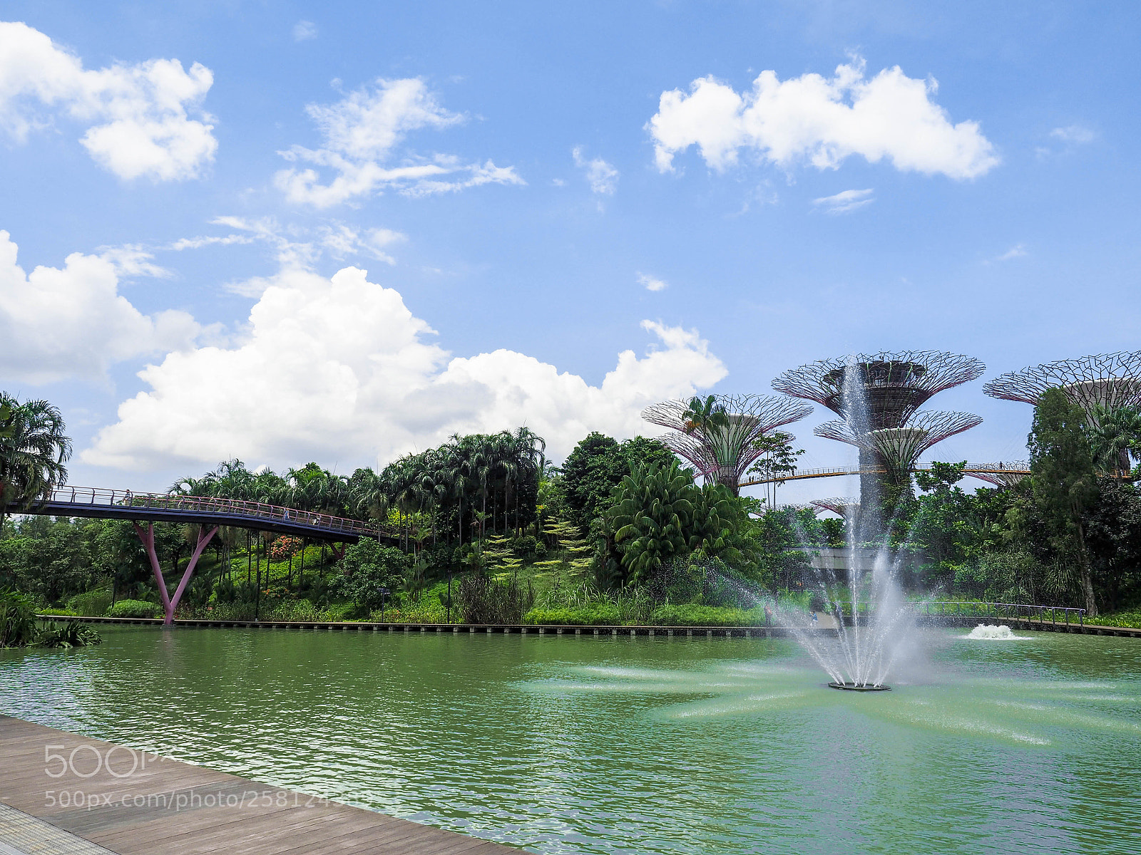Olympus OM-D E-M5 II sample photo. Singapore tour photography