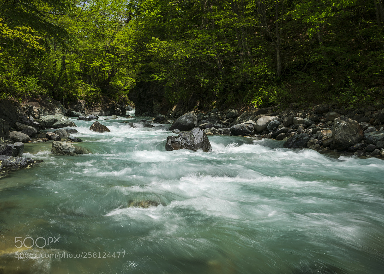 Nikon D850 sample photo. May 16th photography