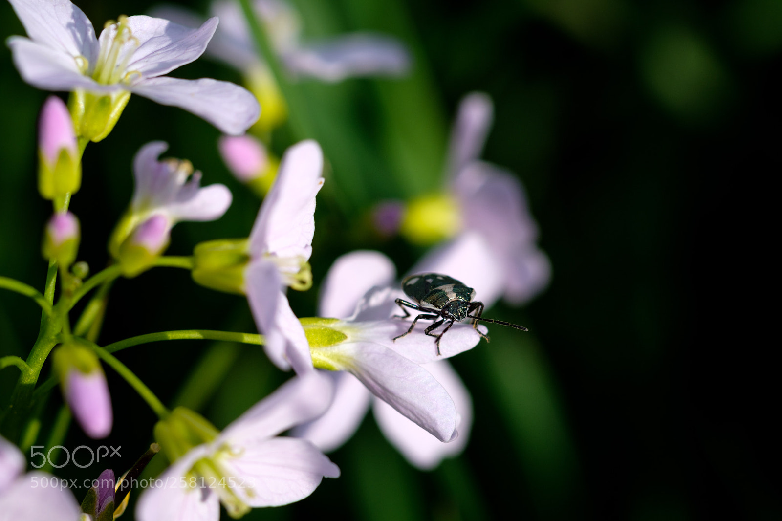 Fujifilm X-T20 sample photo. Untitled photography