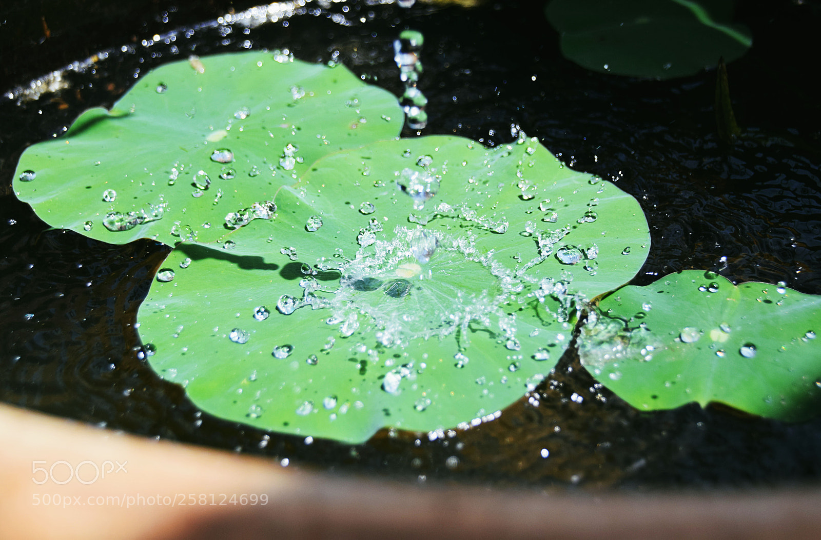 Nikon D5300 sample photo. 水珠 photography