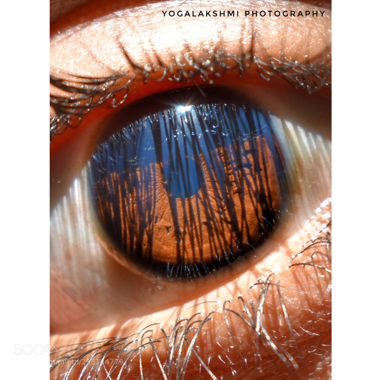 Nikon D3400 sample photo. Eye photography