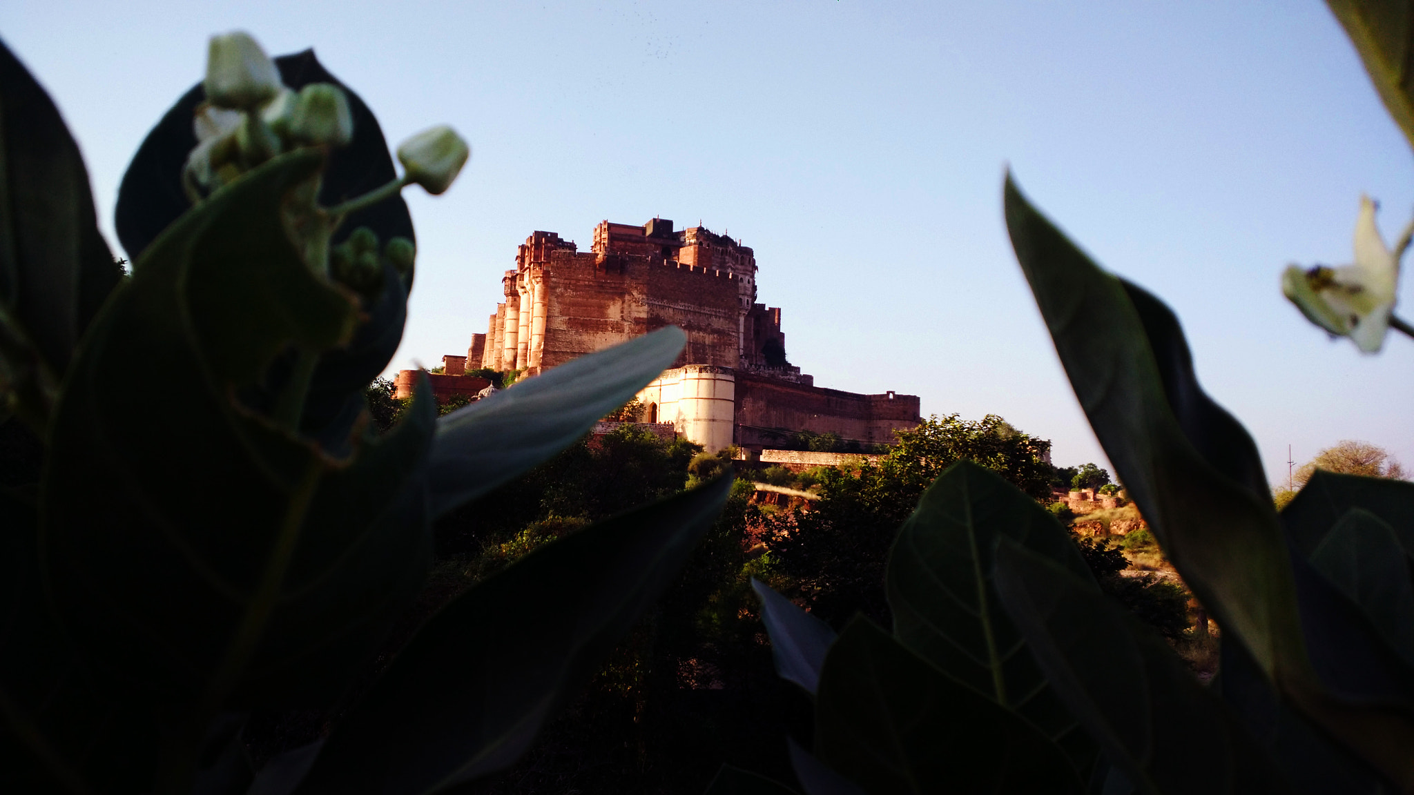 Xiaomi MI4 sample photo. Mehrangarh fort photography