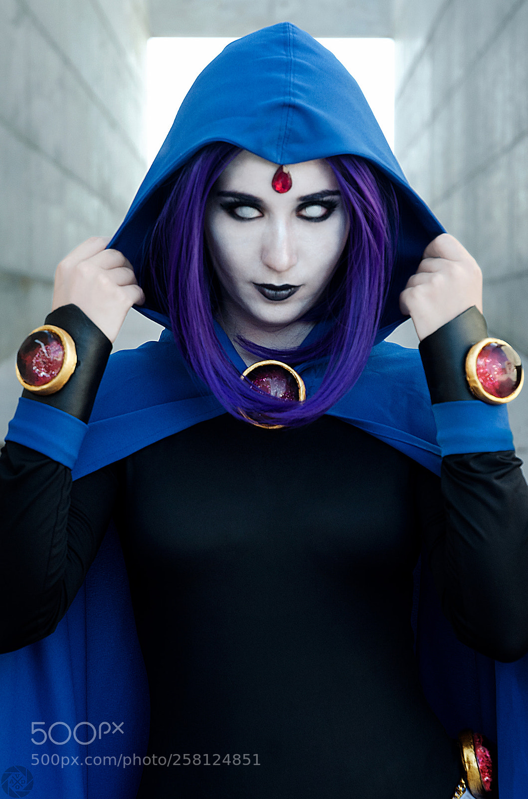 Nikon D7000 sample photo. Judit raven half photography
