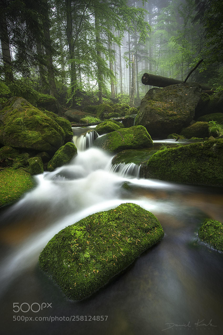 Nikon D610 sample photo. Silent river photography
