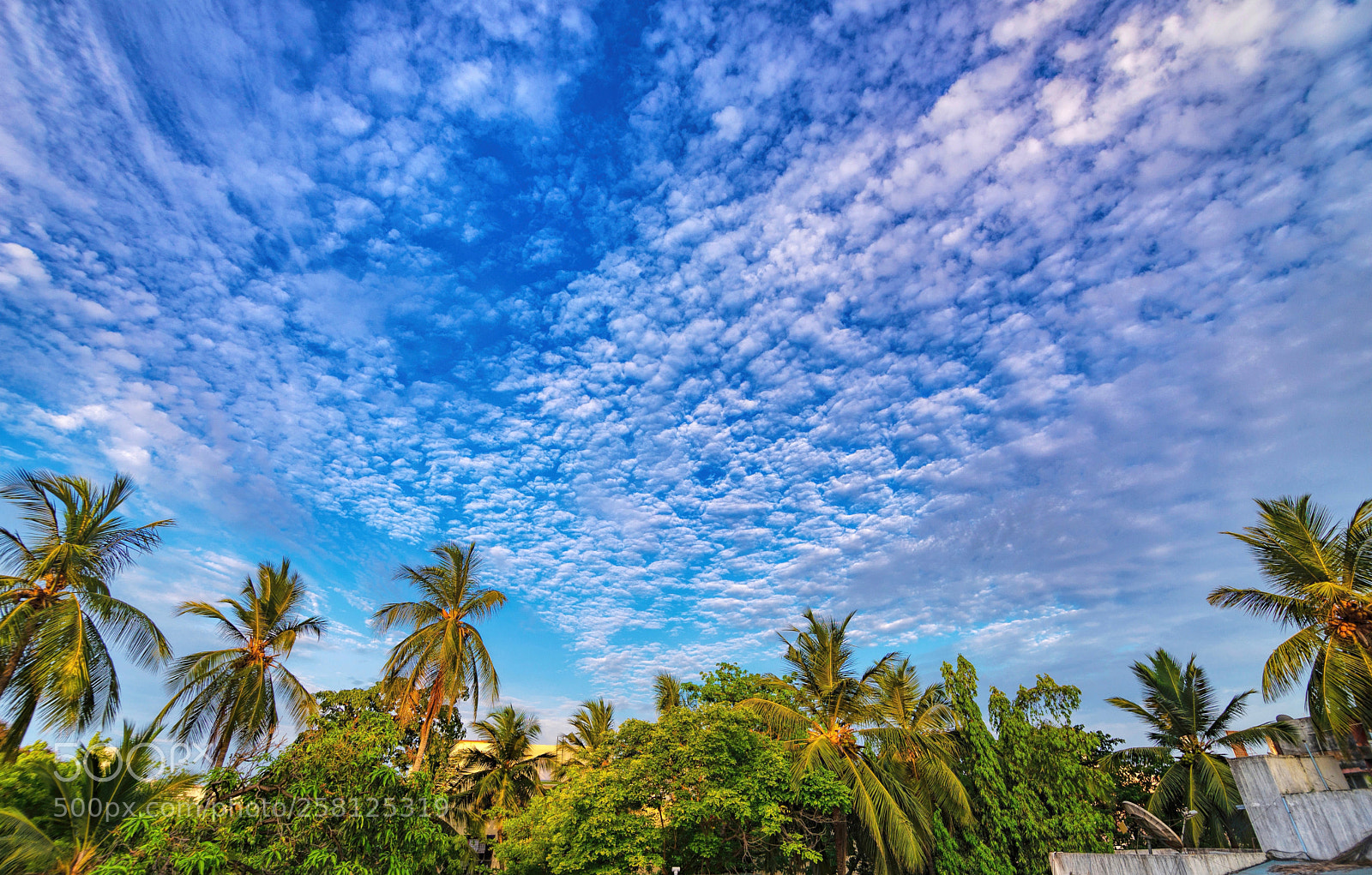 Nikon D610 sample photo. Cloudy blue evening sky photography