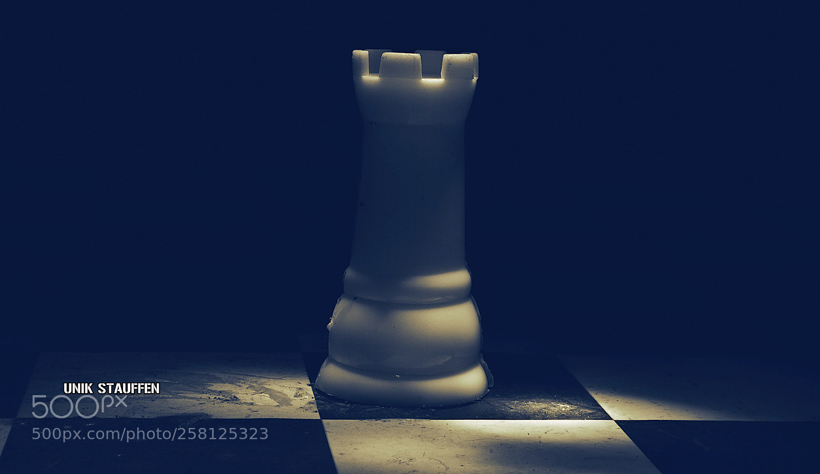Nikon D3200 sample photo. Rook play photography