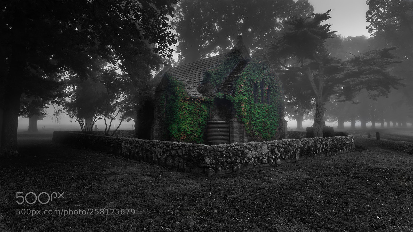 Canon EOS 6D sample photo. Gostwyck chapel photography