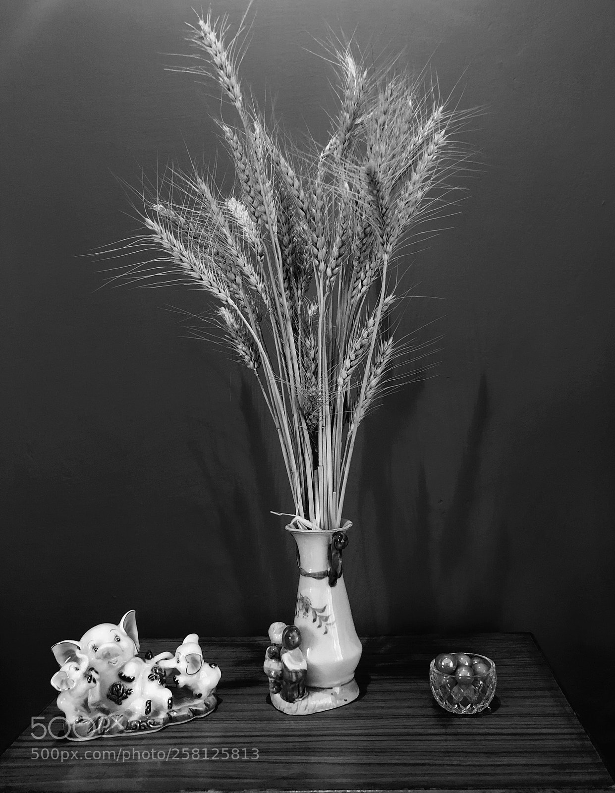 Apple iPhone 8 Plus sample photo. Untitled photography