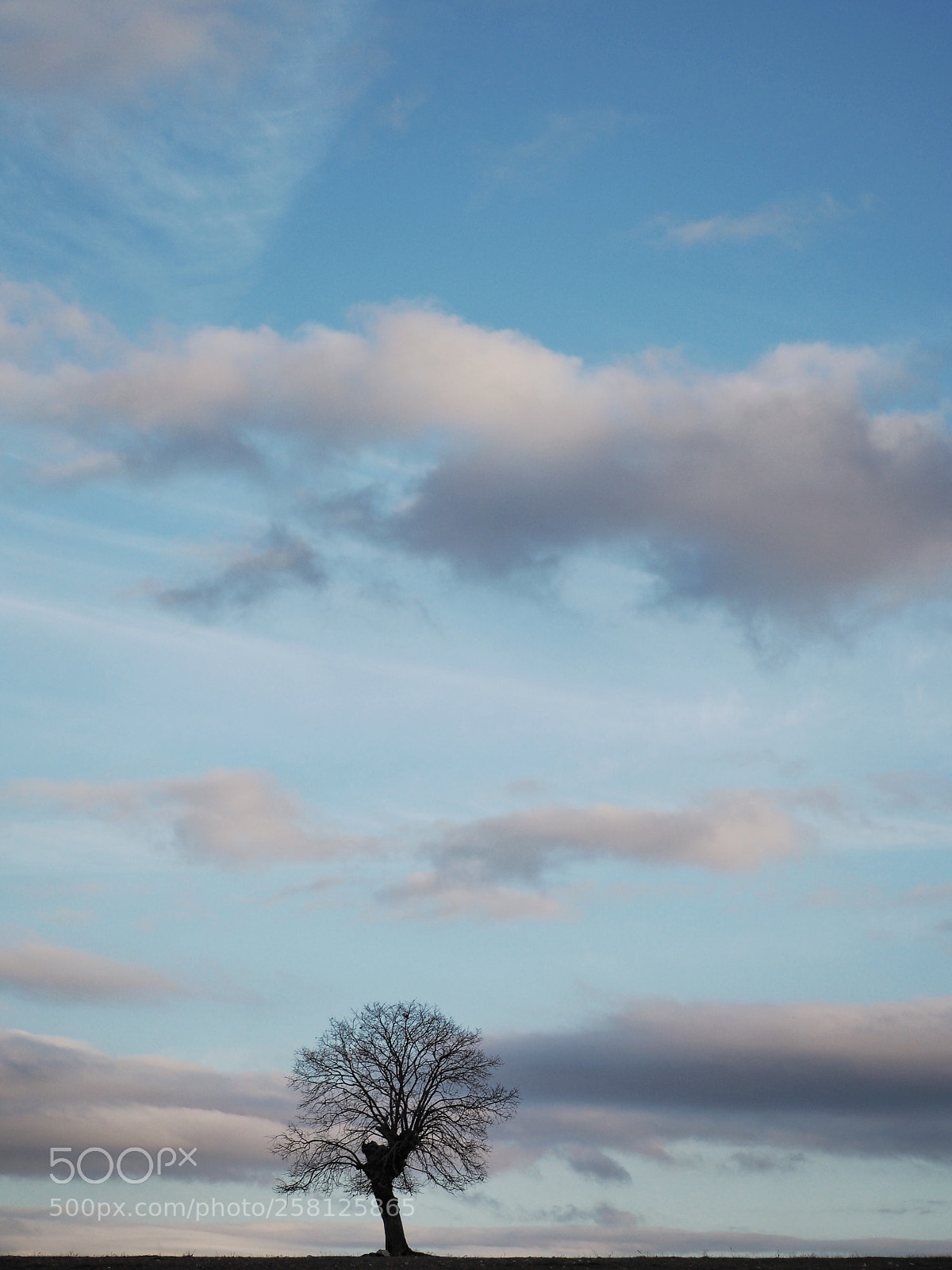 Olympus OM-D E-M10 sample photo. Alone  photography