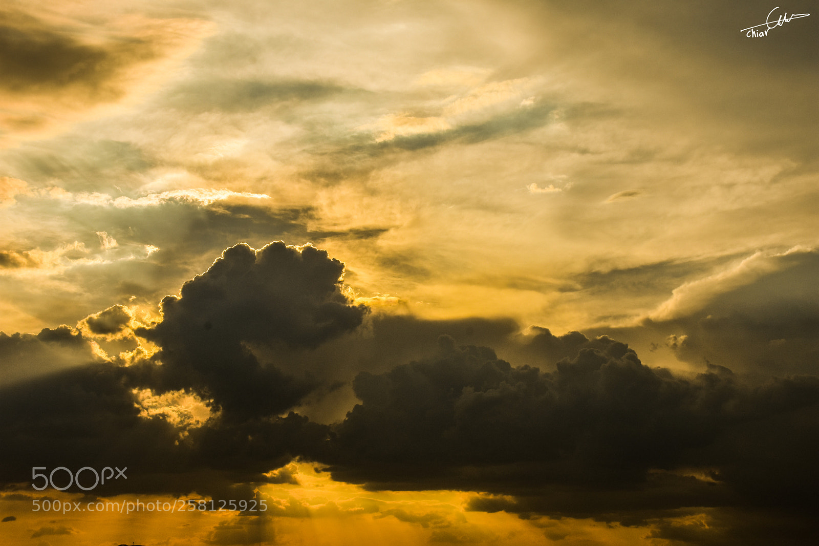 Nikon D7200 sample photo. Untitled photography