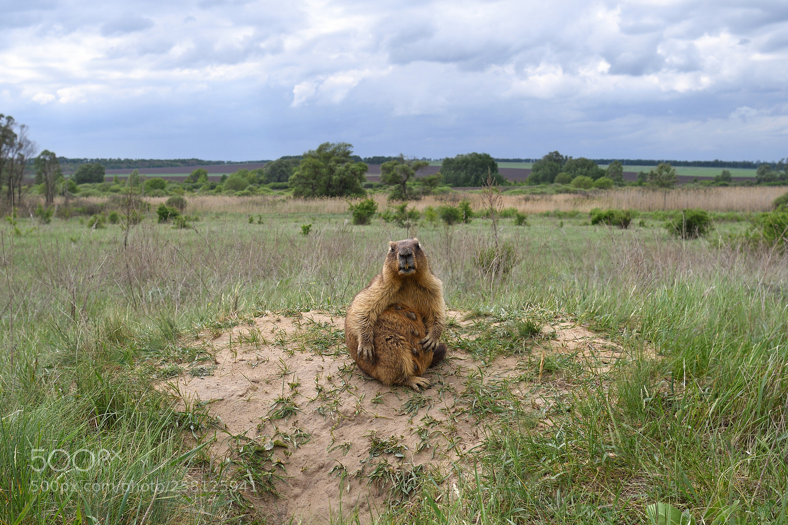 Nikon D7500 sample photo. What else? photography