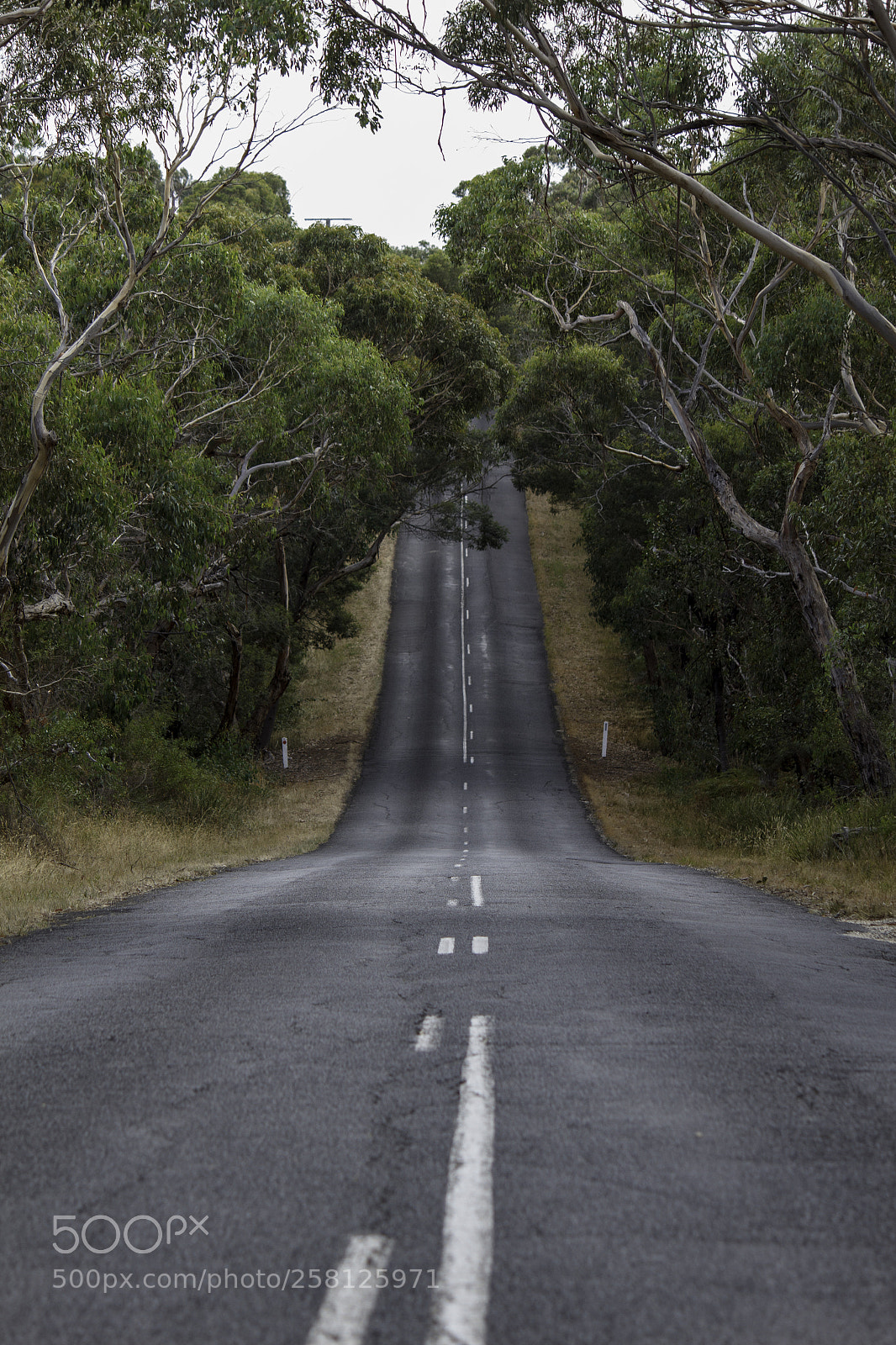 Canon EOS 600D (Rebel EOS T3i / EOS Kiss X5) sample photo. Australias' roads photography