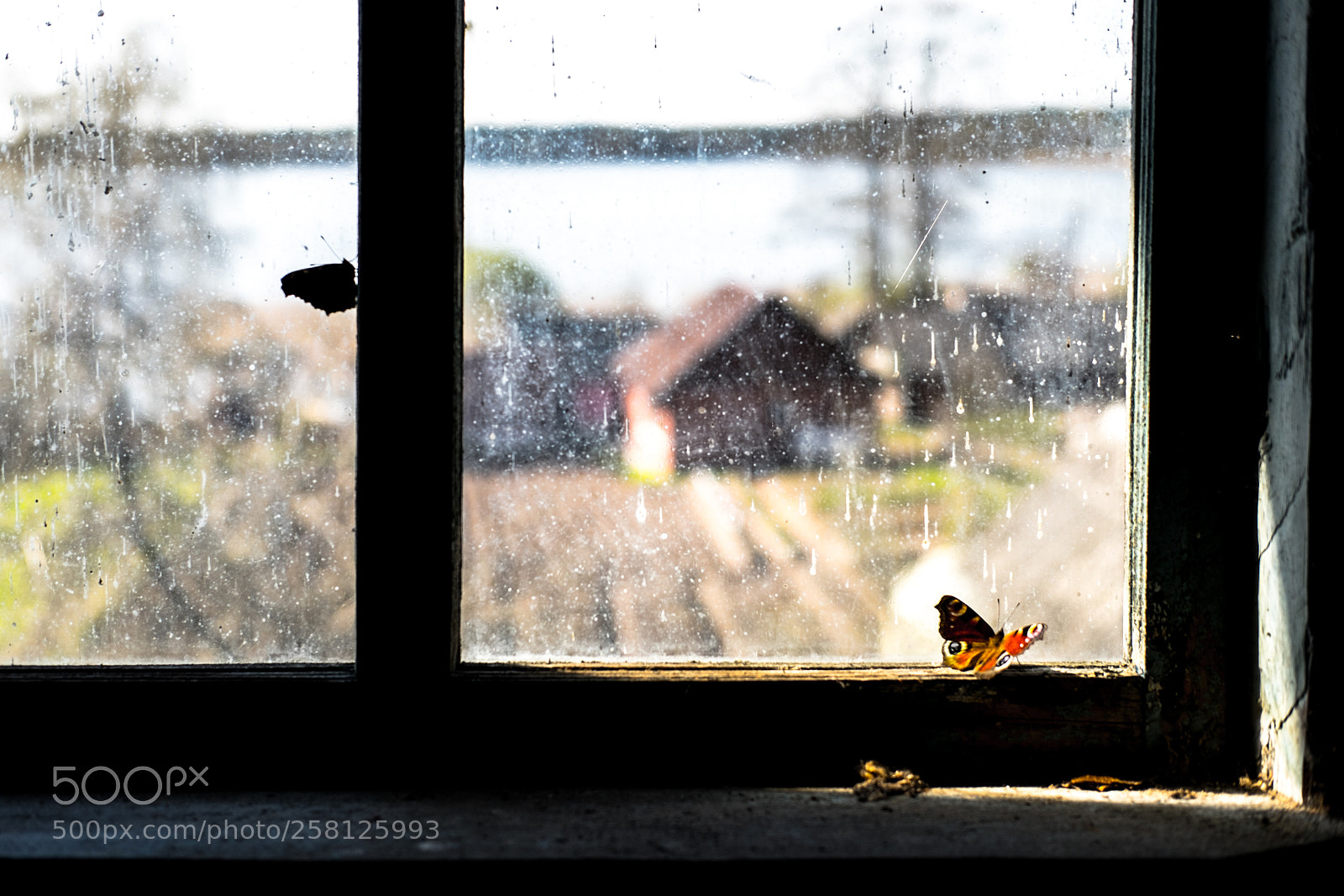 Fujifilm X-T1 sample photo. Trap photography