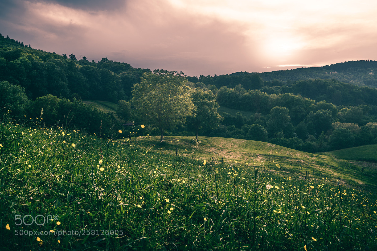 Sony a7R II sample photo. Sunset photography