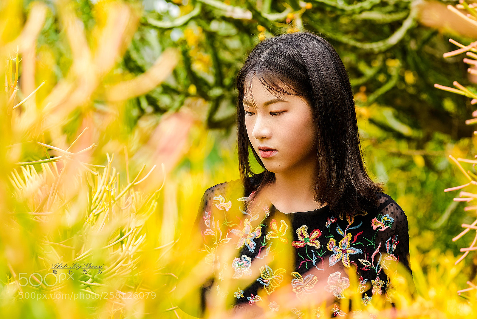 Nikon D810 sample photo. 植物中的少女 photography