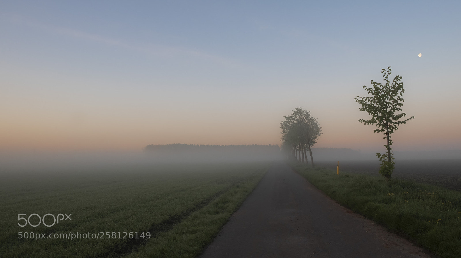 Fujifilm X-T2 sample photo. Sunrise over the fields photography