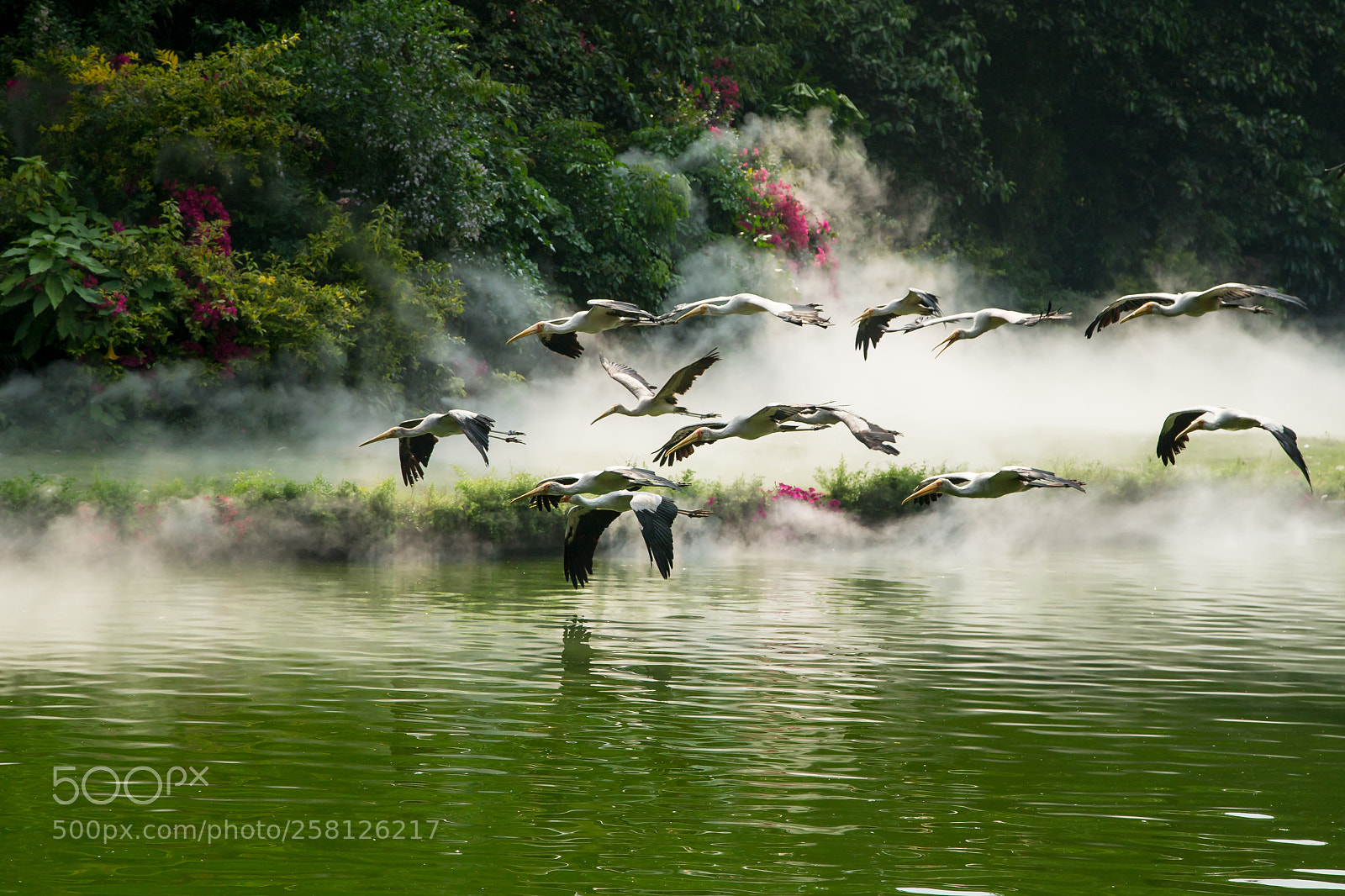 Canon EOS-1D X sample photo. 飛吧 photography