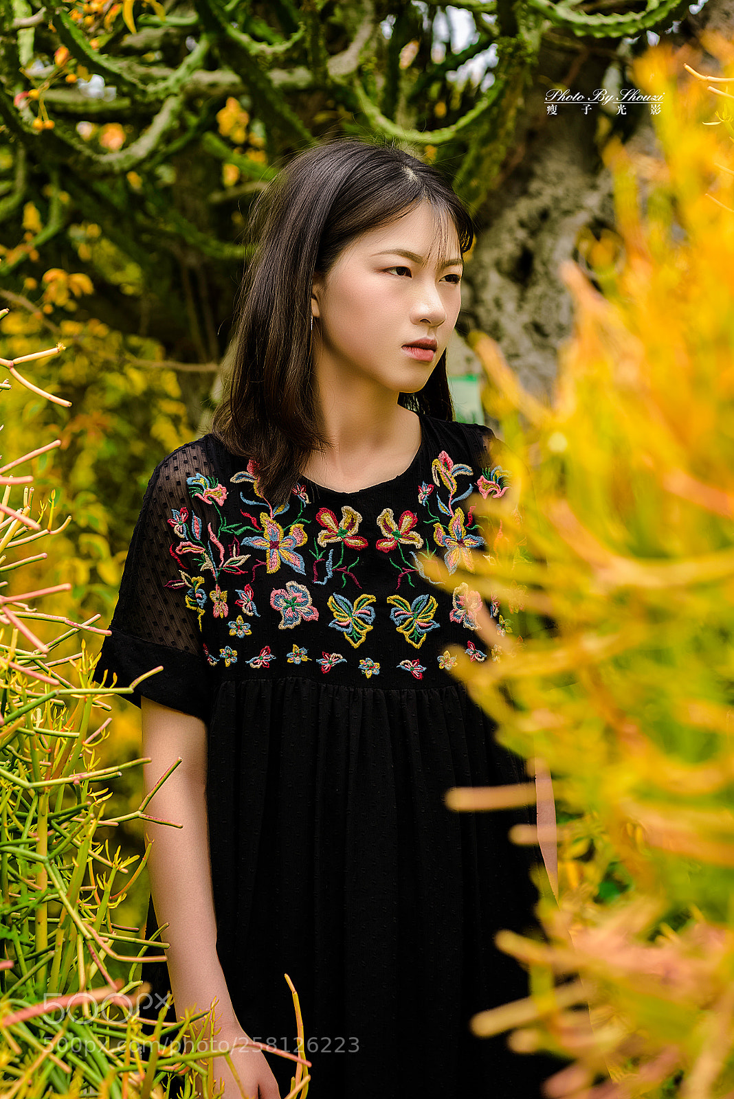 Nikon D810 sample photo. 少女 photography