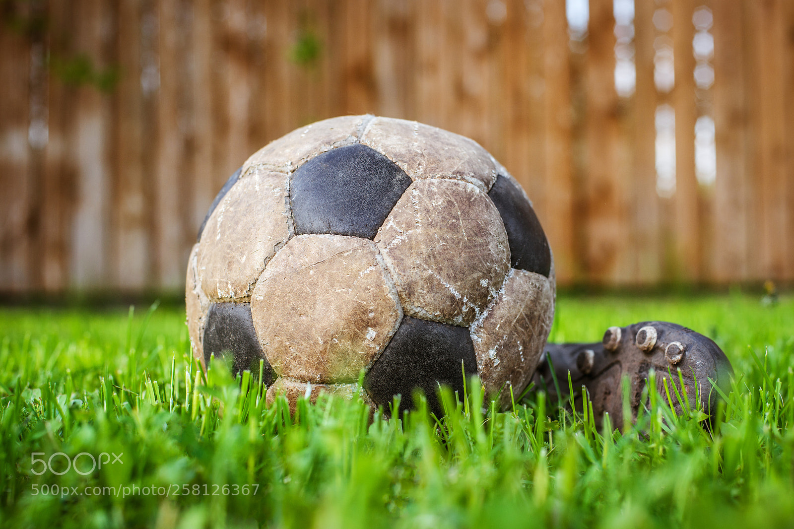 Nikon D800 sample photo. Old ball to play photography