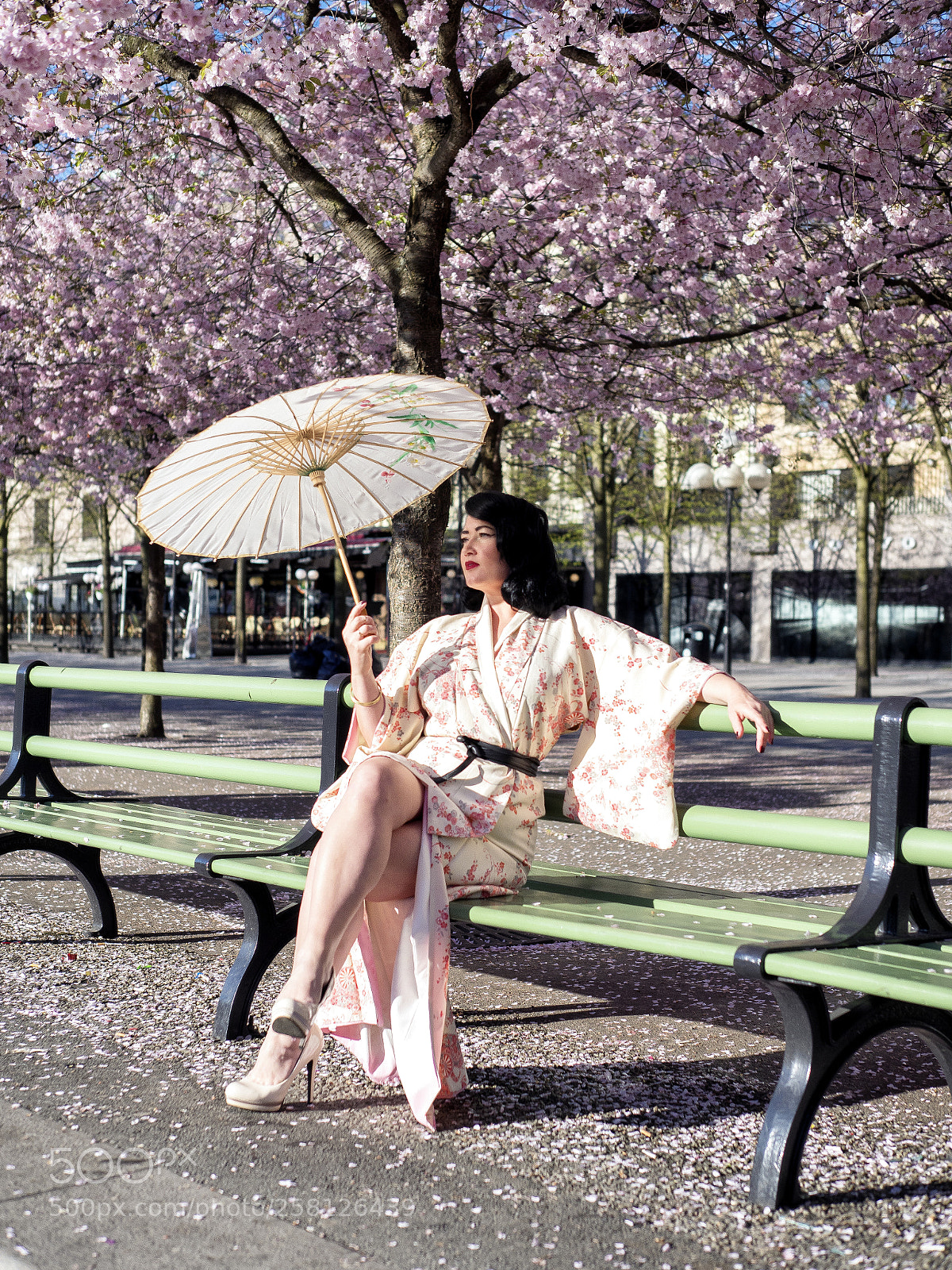 Olympus OM-D E-M1 Mark II sample photo. Under the cherry blossoms photography