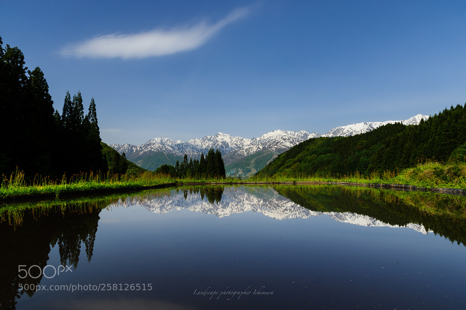 Nikon D3S sample photo. Reflection photography