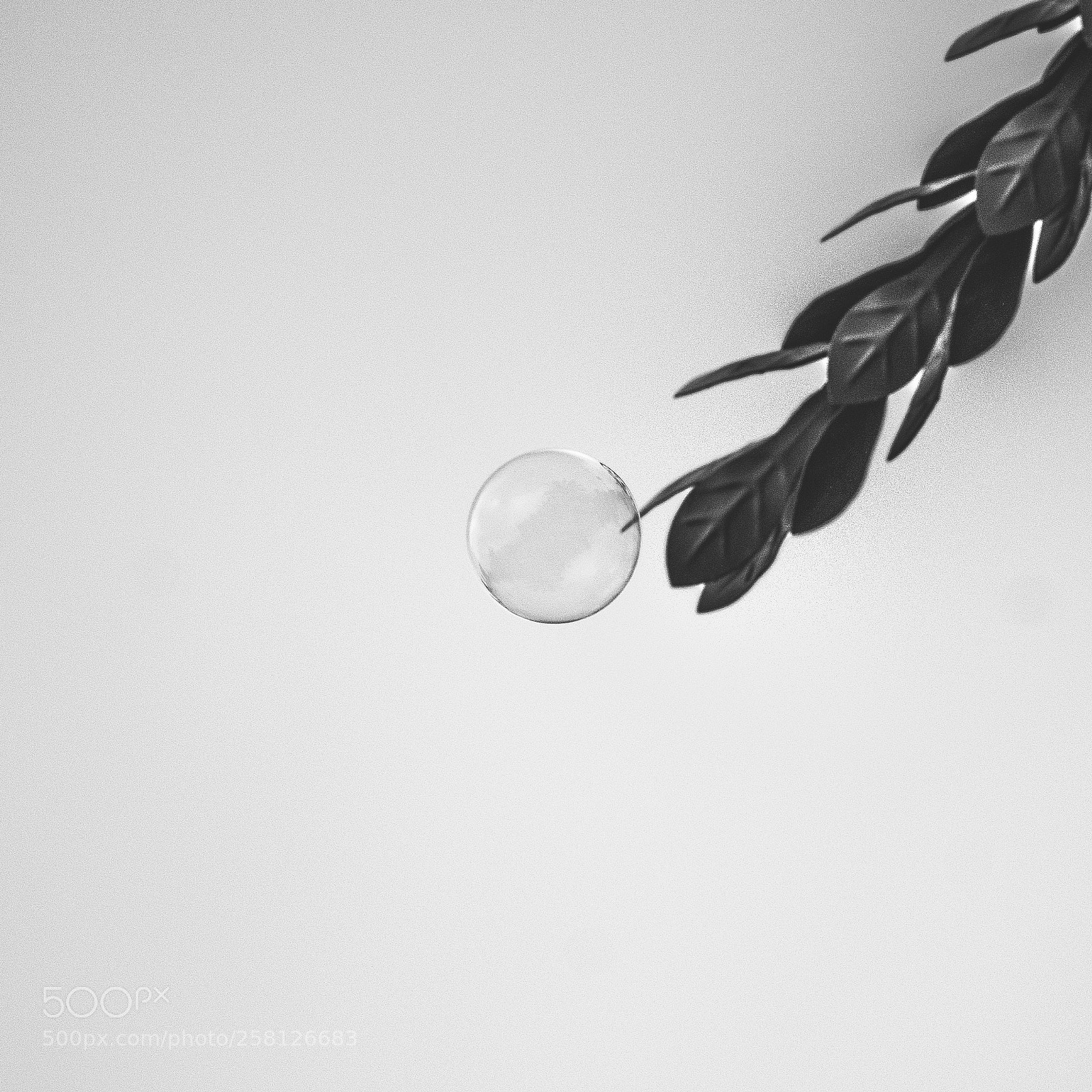 Nikon D5300 sample photo. Bubble photography