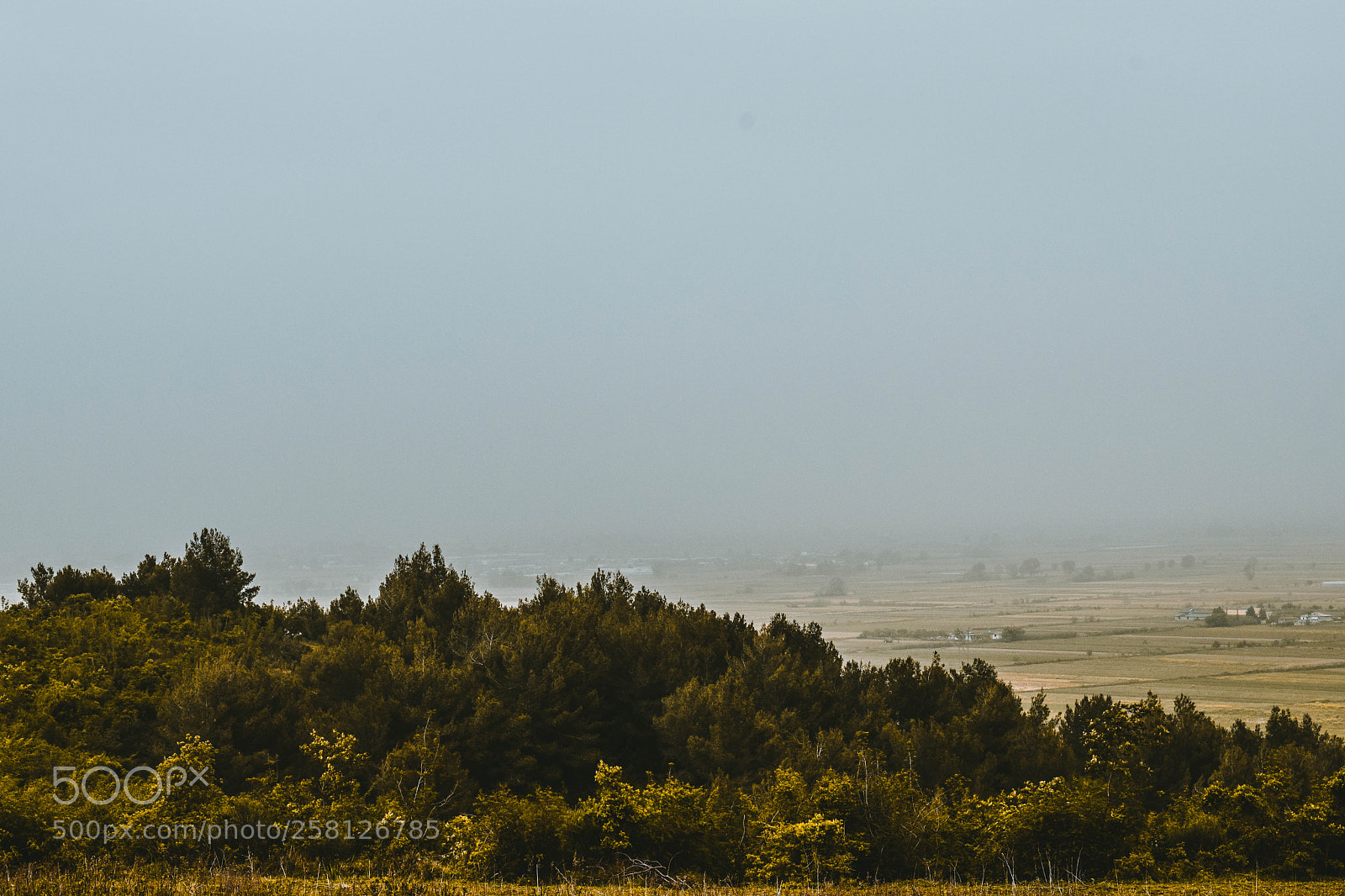Nikon D3300 sample photo. Foggy photography