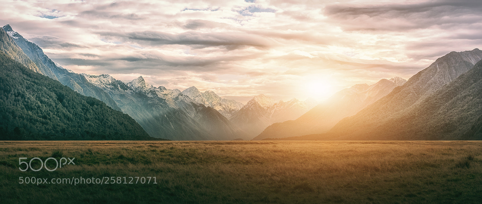Nikon D810 sample photo. Always in a state photography