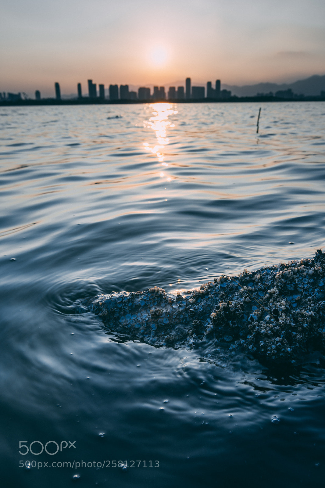 Nikon D7200 sample photo. Sunset photography