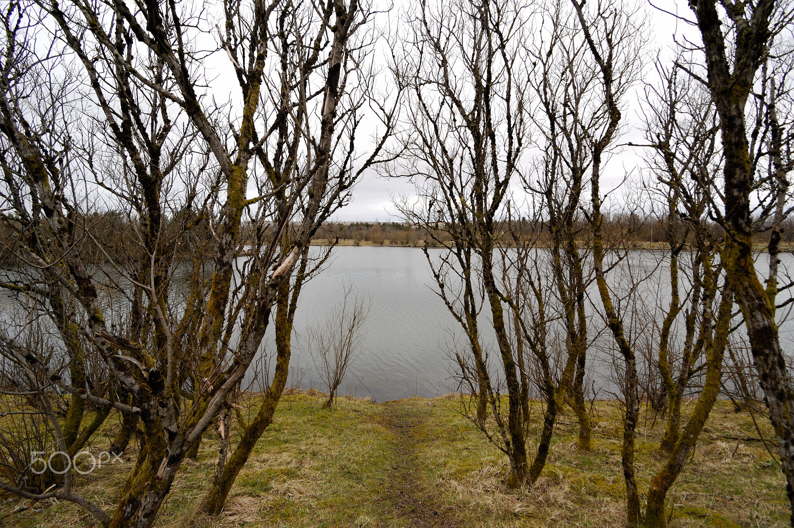 Tokina AT-X Pro 11-16mm F2.8 DX sample photo. Path to lake photography