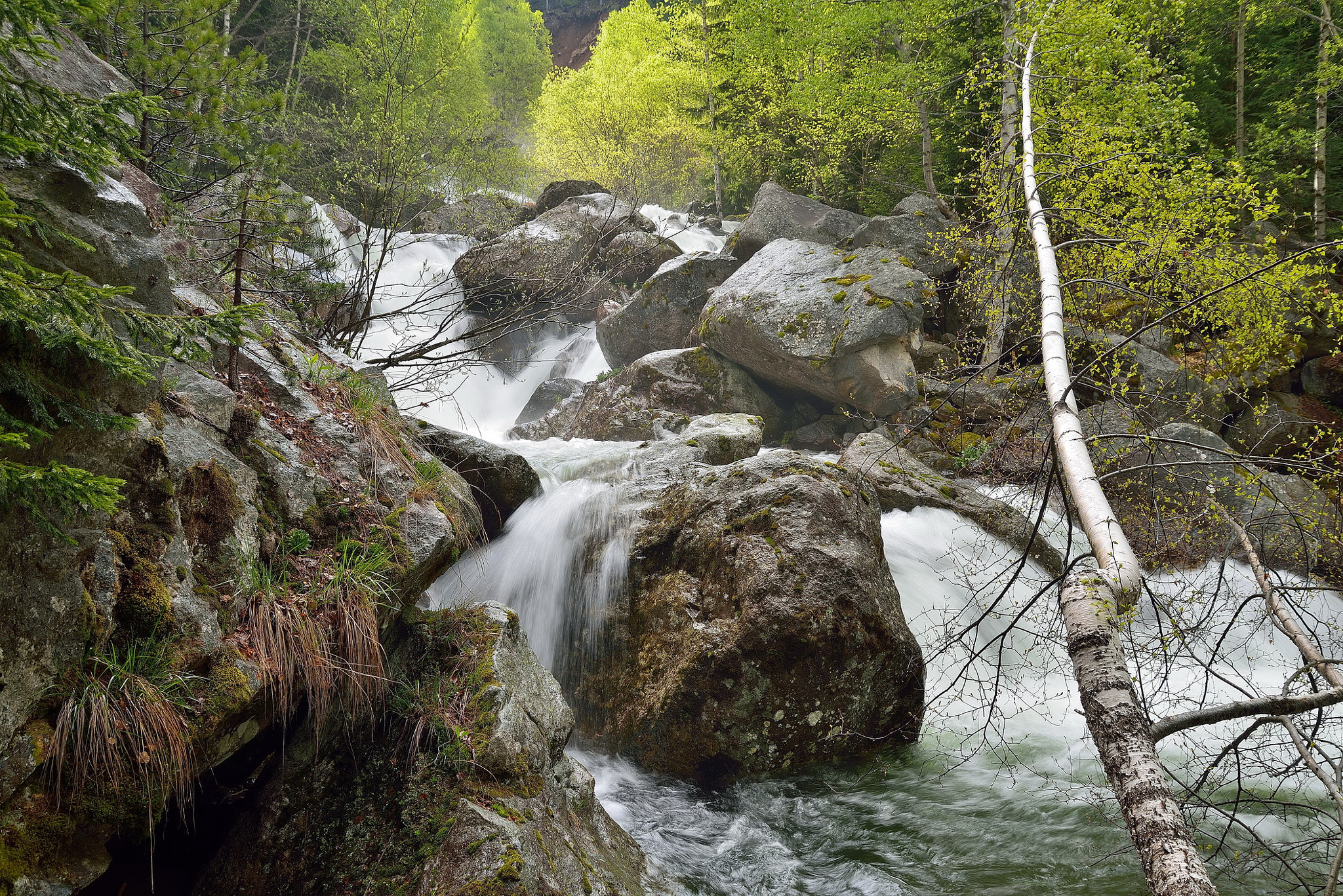 Nikon D610 sample photo. Река рилска photography