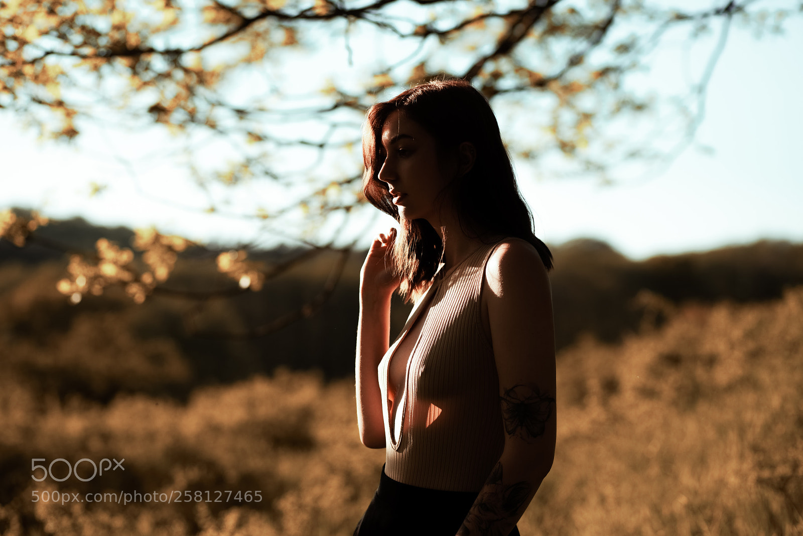 Sony a7R sample photo. Untitled photography
